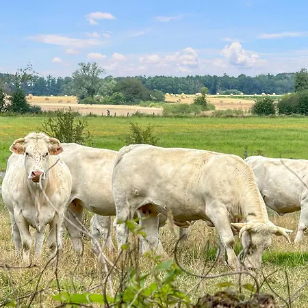 بيت للعطل Beautiful In With Wifi